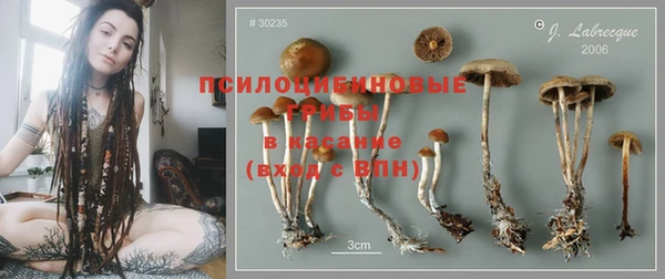 скорость Богданович