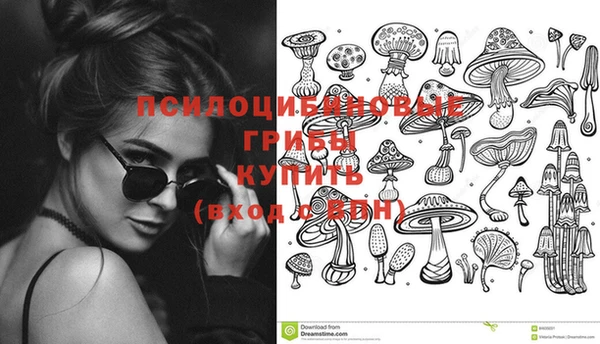 прущий лед Богородск