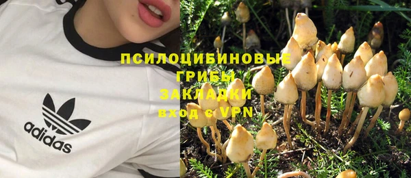 мяу мяу мука Богородицк