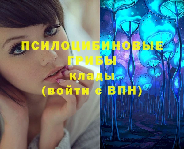 соль курить ск Белокуриха