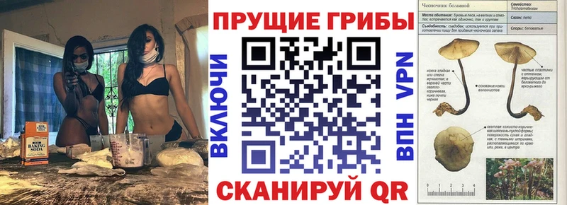 гидра   Белокуриха  Галлюциногенные грибы Magic Shrooms 